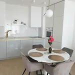Designer Zadar